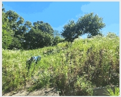  2024Ÿ111817 泲 ݻ걺 ݻ Ŵ븮 161      (1)