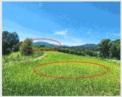  2024Ÿ111817 泲 ݻ걺 ݻ Ŵ븮 161      (1)