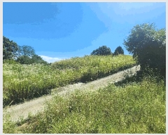  2024Ÿ111817 泲 ݻ걺 ݻ Ŵ븮 161      (1)