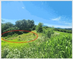  2024Ÿ111817 泲 ݻ걺 ݻ Ŵ븮 161      (1)