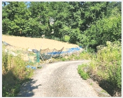  2024Ÿ111817 泲 ݻ걺 ݻ Ŵ븮 161      (1)