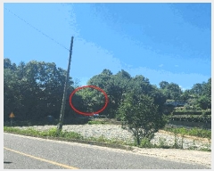  2024Ÿ111817 泲 ݻ걺 ݻ Ŵ븮 161      (1)