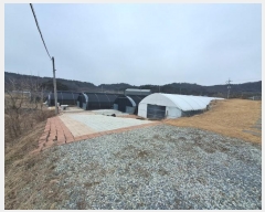  2024Ÿ122817 泲 ݻ걺 ݼ  474      ()