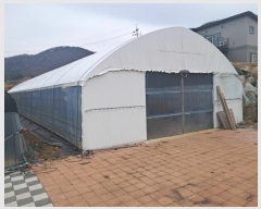  2024Ÿ122817 泲 ݻ걺 ݼ  474      ()