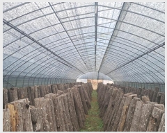  2024Ÿ122817 泲 ݻ걺 ݼ  474      ()