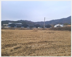  2024Ÿ122817 泲 ݻ걺 ݼ  474      ()