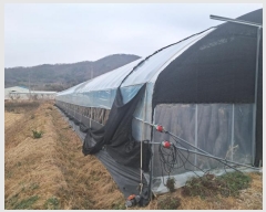  2024Ÿ122817 泲 ݻ걺 ݼ  474      ()