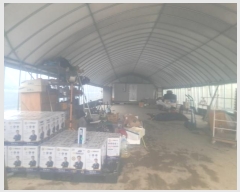  2024Ÿ122817 泲 ݻ걺 ݼ  474      ()