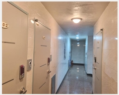  2024Ÿ123582  ߱ ε 122-7       ܵ,ð