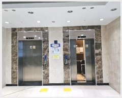  2024Ÿ125267  ܵ(ȣ)