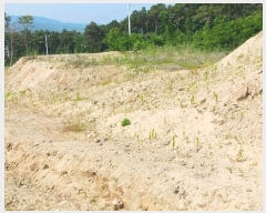  2024Ÿ��110685  �Ӿ߰��