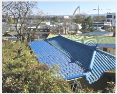  2024Ÿ��122268  �����