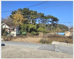  2024Ÿ��122268  �����