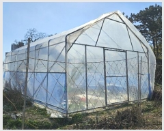  2024Ÿ��122268  �����