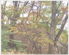  2024Ÿ��122268  �����