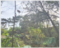  2024Ÿ��122268  �����