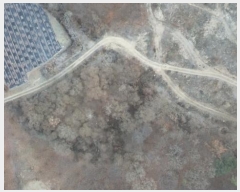  2024Ÿ124837 Ưġ 屺 ݾϸ 252       ()