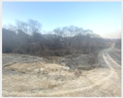  2024Ÿ124837 Ưġ 屺 ݾϸ 252       ()