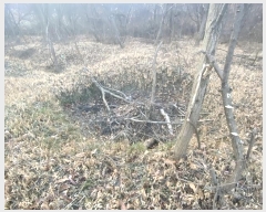  2024Ÿ124837 Ưġ 屺 ݾϸ 252       ()