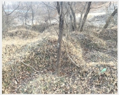  2024Ÿ124837 Ưġ 屺 ݾϸ 252       ()