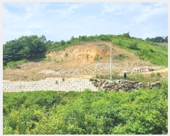  2024Ÿ5455 泲 ݻ걺 ߺθ  203-1      (1)