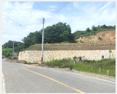  2024Ÿ5455 泲 ݻ걺 ߺθ  203-1      (1)