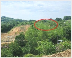  2024Ÿ5455 泲 ݻ걺 ߺθ  203-1      (1)