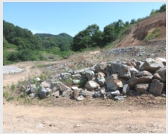  2024Ÿ5455 泲 ݻ걺 ߺθ  203-1      (1)