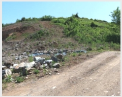  2024Ÿ5455 泲 ݻ걺 ߺθ  203-1      (1)