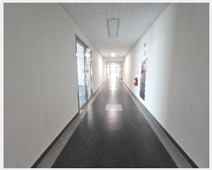  2024Ÿ��11412  ����Ʈ��������