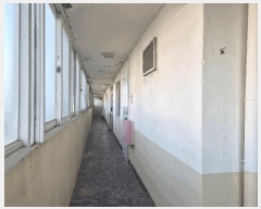  2024Ÿ��100237  �ټ���(����)���