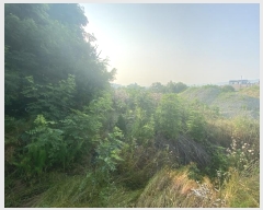  2024Ÿ��110470 ����Ư����ġ�� ������ ���ϸ� 612-26       ����(��1)���