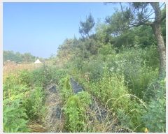  2024Ÿ��110470 ����Ư����ġ�� ������ ���ϸ� 612-26       ����(��1)���