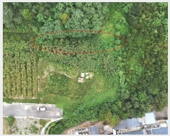  2024Ÿ��110470 ����Ư����ġ�� ������ ���ϸ� 612-26       ����(��1)���