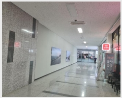  2024Ÿ117983   뵿 35, 1121ȣ (뵿,-)     ,繫ǰ