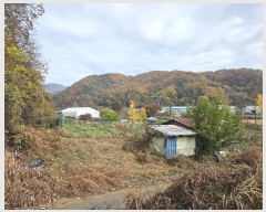  2024Ÿ��121746 ����Ư����ġ�� ������ ���帮 505       ����(��1)���