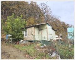  2024Ÿ��121746 ����Ư����ġ�� ������ ���帮 505       ����(��1)���