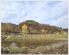  2024Ÿ��121746 ����Ư����ġ�� ������ ���帮 505       ����(��1)���