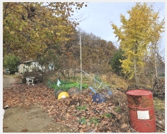  2024Ÿ��121746 ����Ư����ġ�� ������ ���帮 505       ����(��1)���