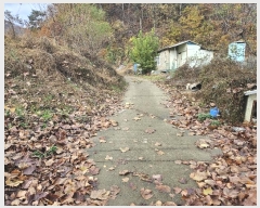  2024Ÿ��121746 ����Ư����ġ�� ������ ���帮 505       ����(��1)���