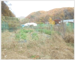  2024Ÿ��121746 ����Ư����ġ�� ������ ���帮 505       ����(��1)���