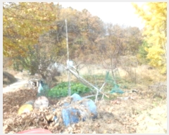  2024Ÿ��121746 ����Ư����ġ�� ������ ���帮 505       ����(��1)���