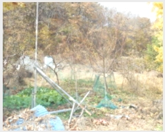  2024Ÿ��121746 ����Ư����ġ�� ������ ���帮 505       ����(��1)���