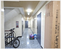  2024Ÿ��124547 ���� ���� ���� 37-27       �ܵ�����,�����ð��