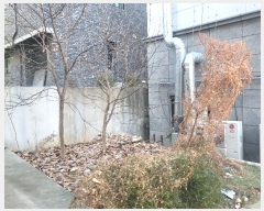  2024Ÿ��125274  �ٸ����ð��