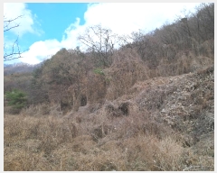  2024Ÿ102080 Ưġ ΰ  26       (Ӿ)