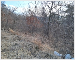  2024Ÿ102080 Ưġ ΰ  26       (Ӿ)