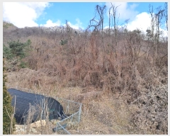  2024Ÿ102080 Ưġ ΰ  26       (Ӿ)