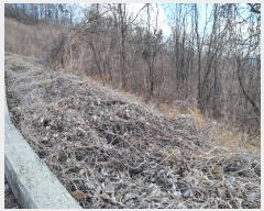  2024Ÿ102080 Ưġ ΰ  26       (Ӿ)