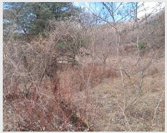  2024Ÿ102080 Ưġ ΰ  26       (Ӿ)